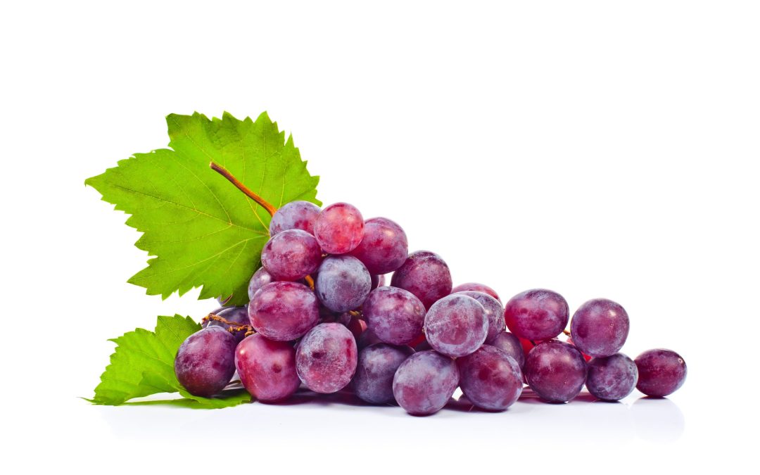 Resveratrol mot tandlossning