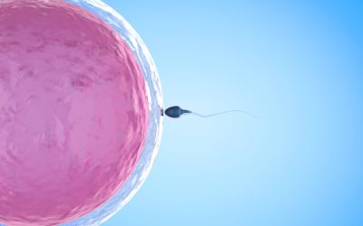 Manlig fertilitet och ubiquinol Q10